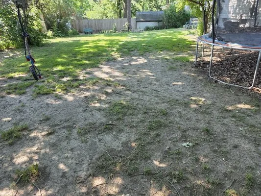 Lush Lawn Solution Logo