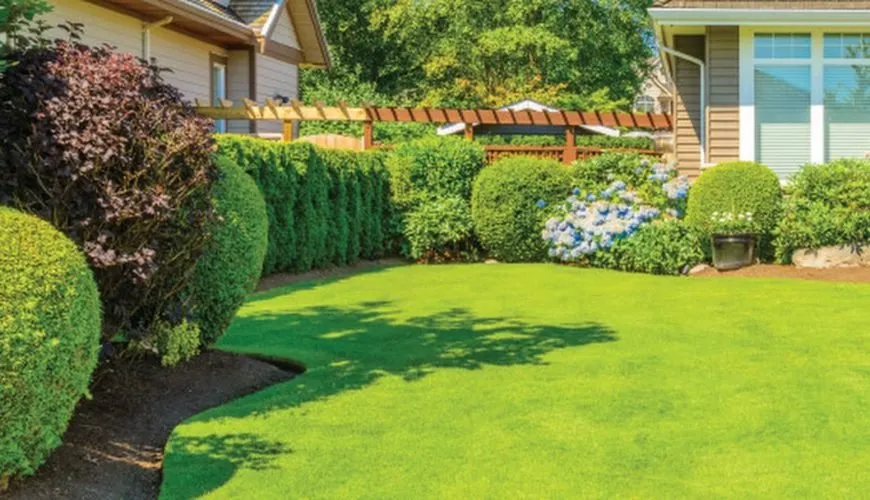 Professional yard maintenance in Brown Summit, NC - Lush Lawns