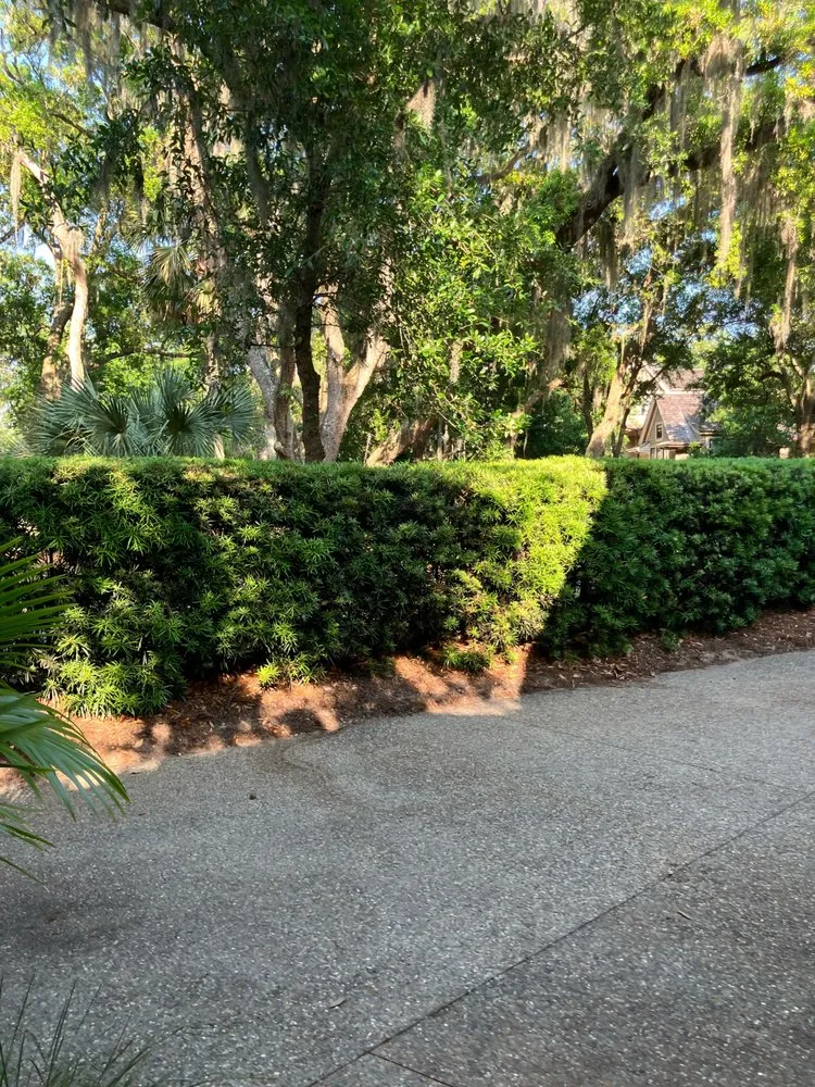 Trusted outdoor landscaping for outdoor upgrades in Charleston, SC by Lush Lawns