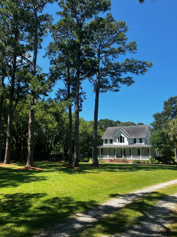 Top-rated yard cleanup service for beautiful yards in Charleston, SC by Lush Lawns