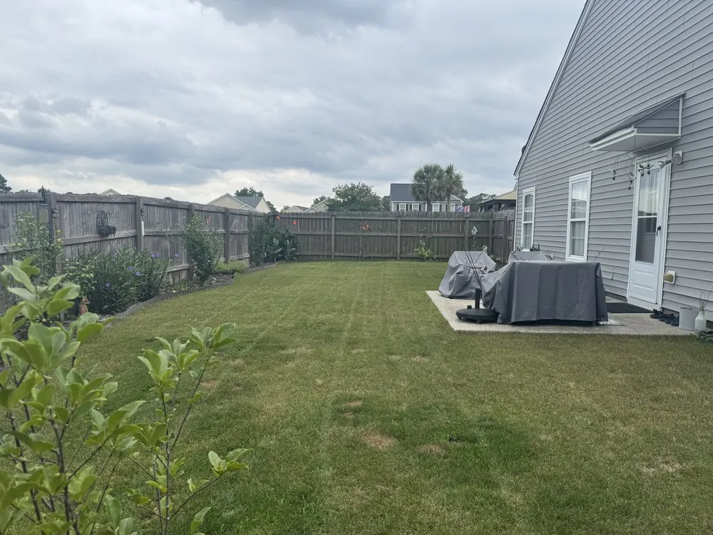Trusted lawn care service for homes across Charleston, SC - Lush Lawns