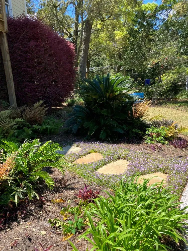 Expert yard maintenance in Charleston, SC - Lush Lawns