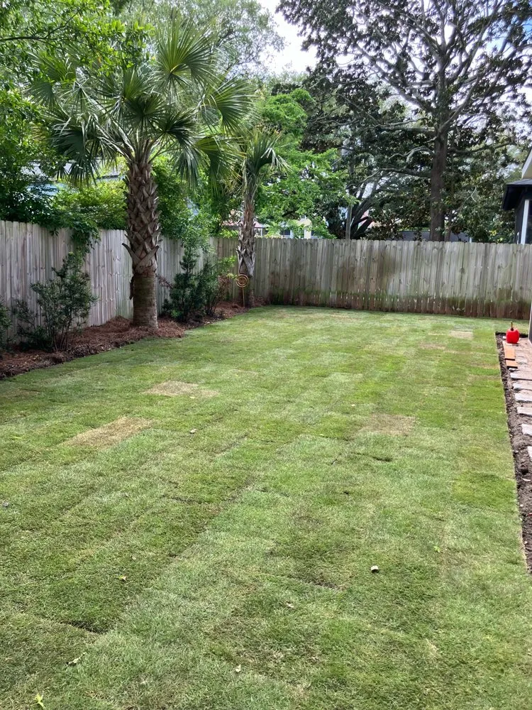 Reliable lawn mowing service near you across Charleston, SC - Lush Lawns
