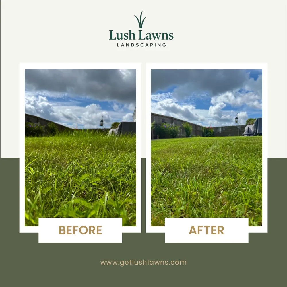 Trusted lawn care service in Charleston, SC by Lush Lawns