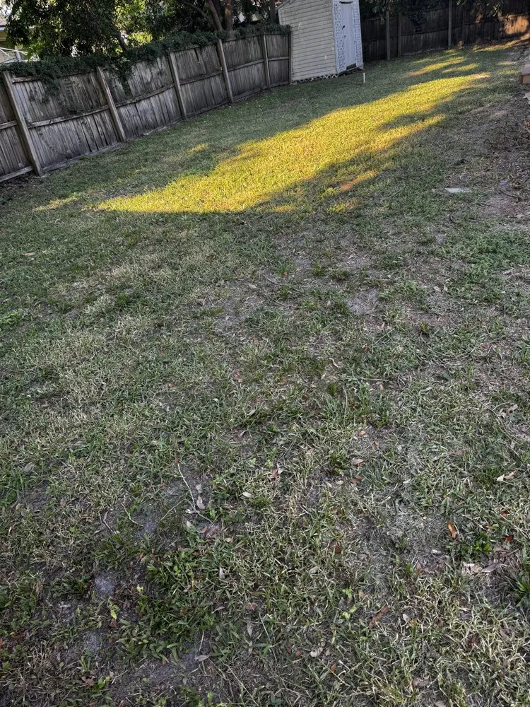 Trusted yard maintenance in Jacksonville, FL by Lush Lawns