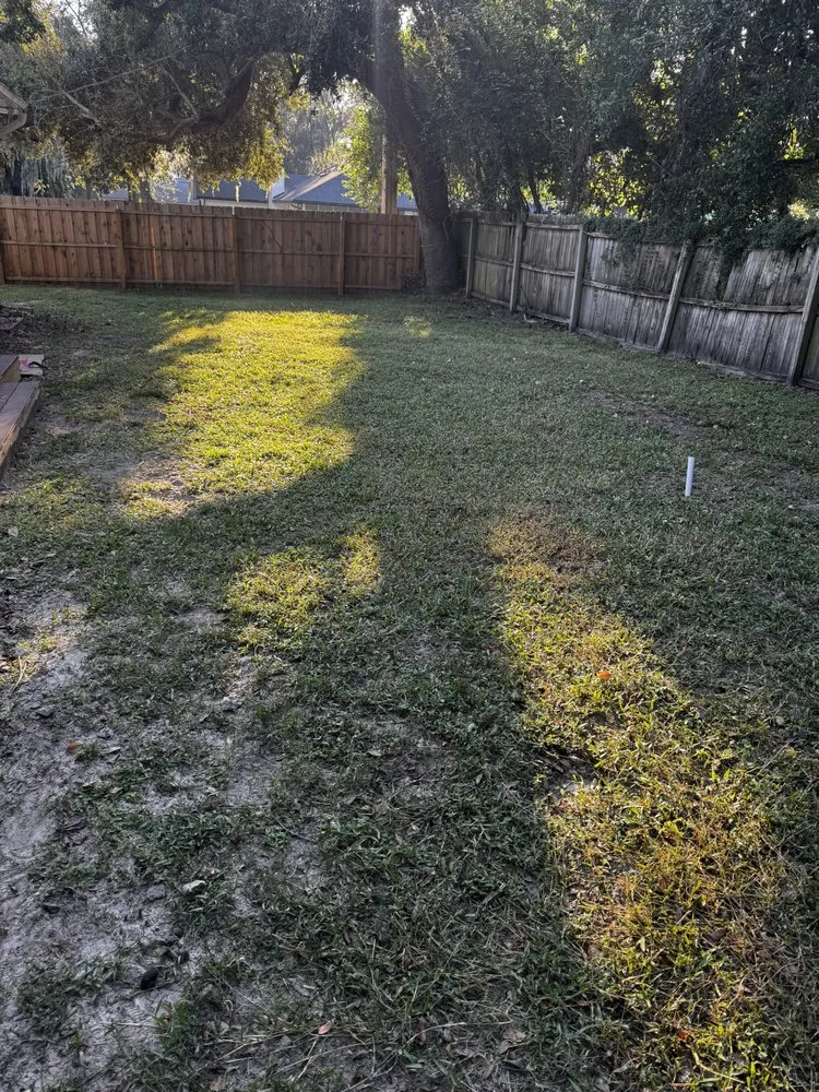Affordable lawn care service in Jacksonville, FL - Lush Lawns