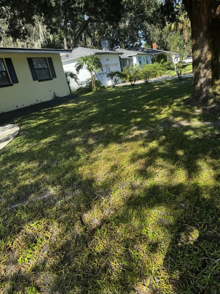 Custom garden landscaping in Jacksonville, FL by Lush Lawns