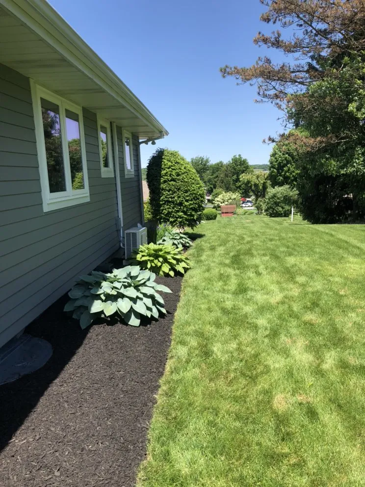 Local yard cleanup service in Latrobe, PA by Lush Lawns