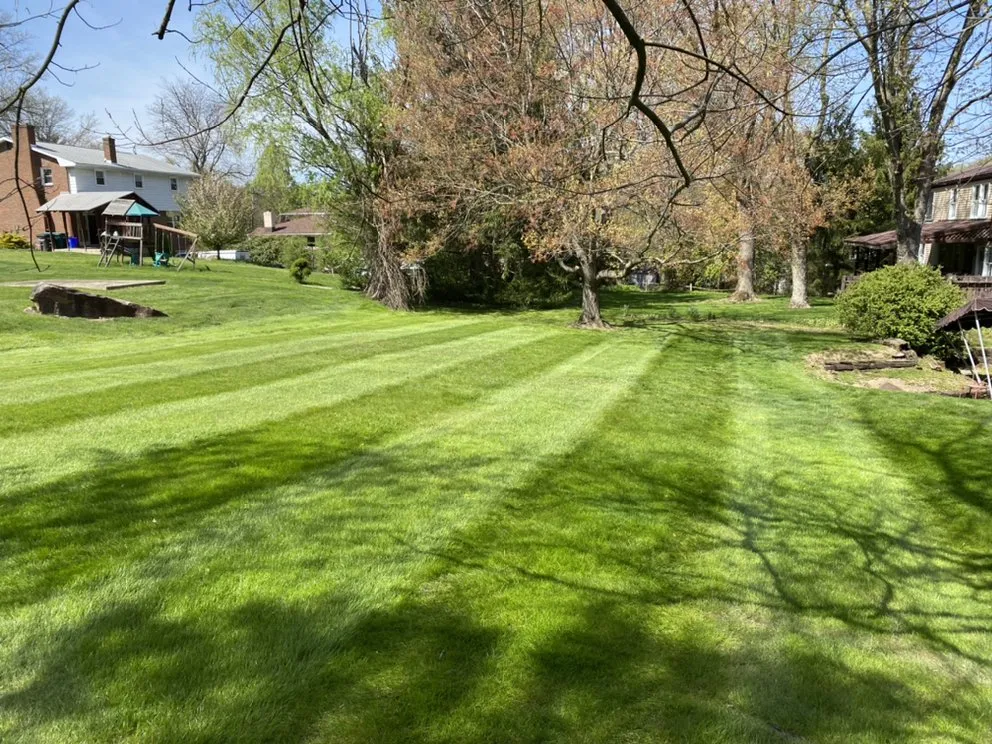 Top-rated lawn mowing service for year-round maintenance in Latrobe, PA by Lush Lawns