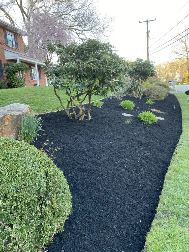 Expert lawn mowing service experts serving Latrobe, PA - Lush Lawns