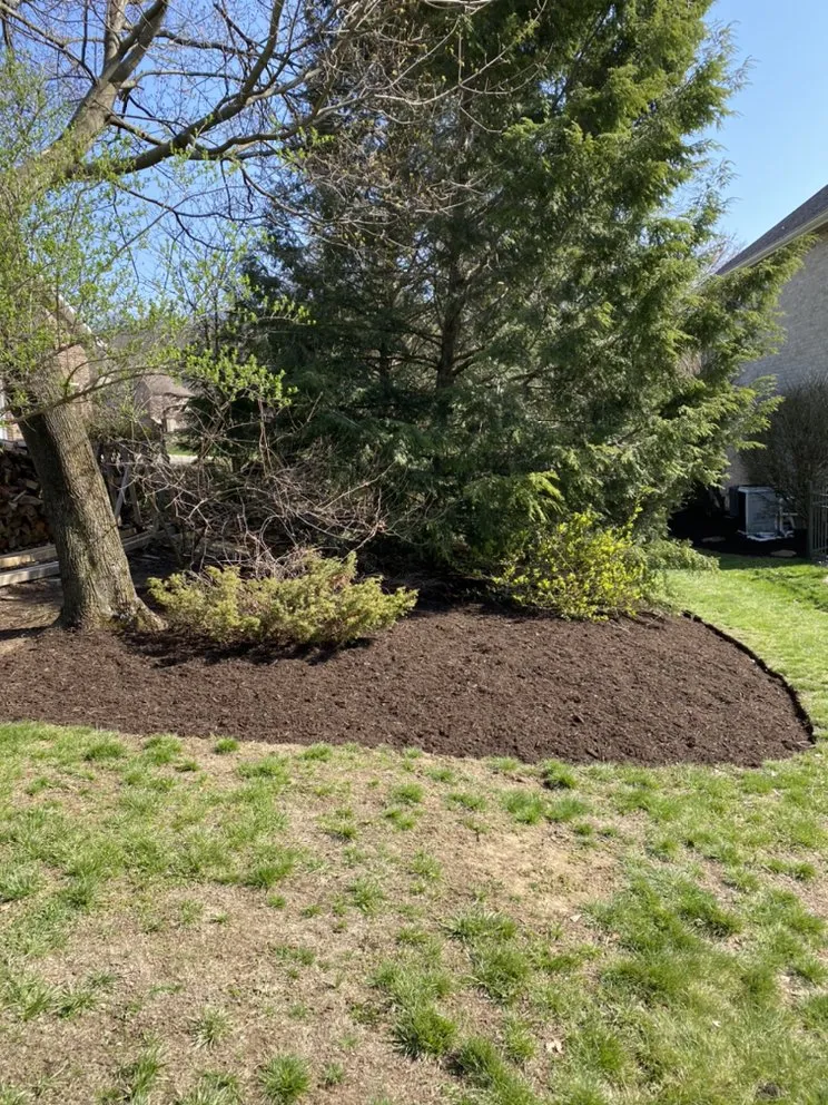 Trusted landscaping services for beautiful yards across Latrobe, PA - Lush Lawns