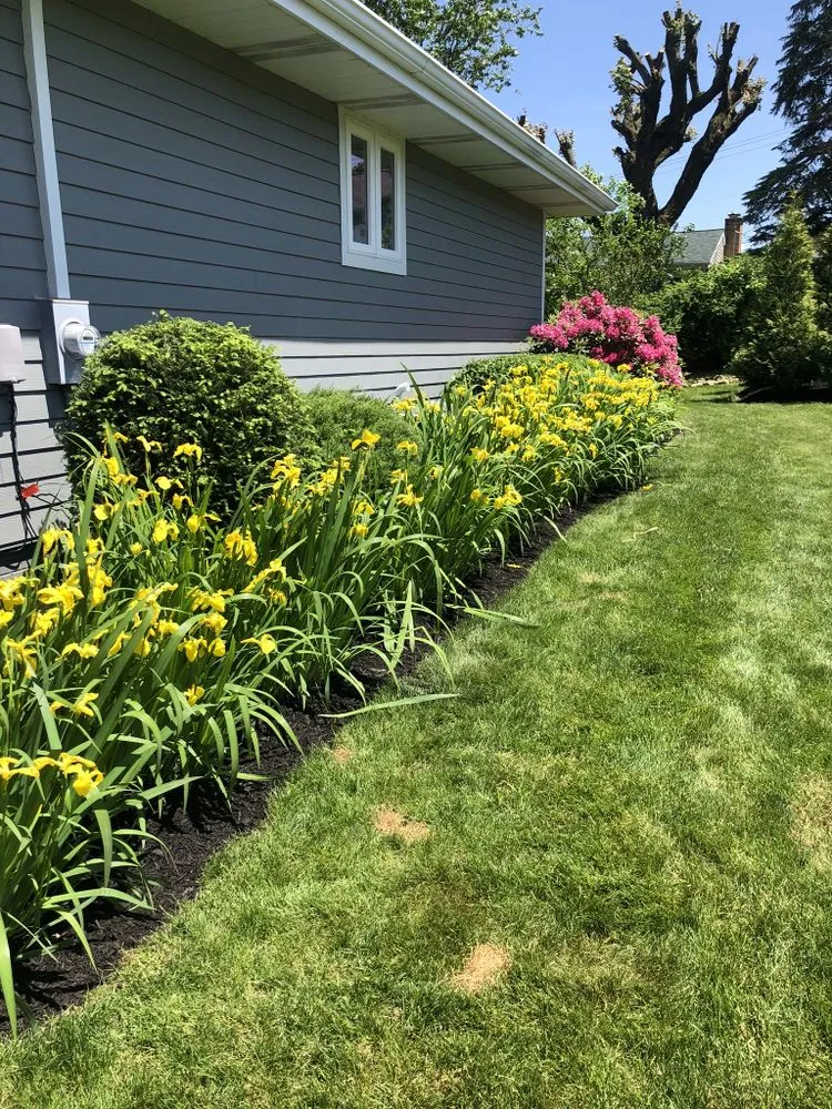 Custom outdoor landscaping experts serving Latrobe, PA - Lush Lawns