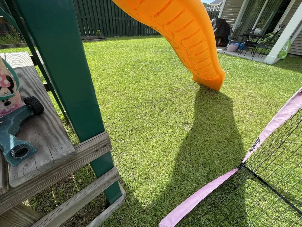 Reliable residential landscaping in Richmond Hill, GA - Lush Lawns