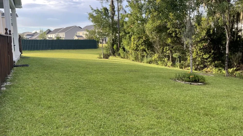 Custom yard maintenance experts serving Richmond Hill, GA - Lush Lawns