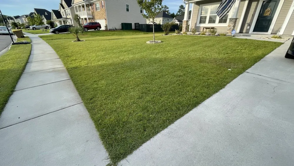 Custom residential landscaping in Richmond Hill, GA - Lush Lawns