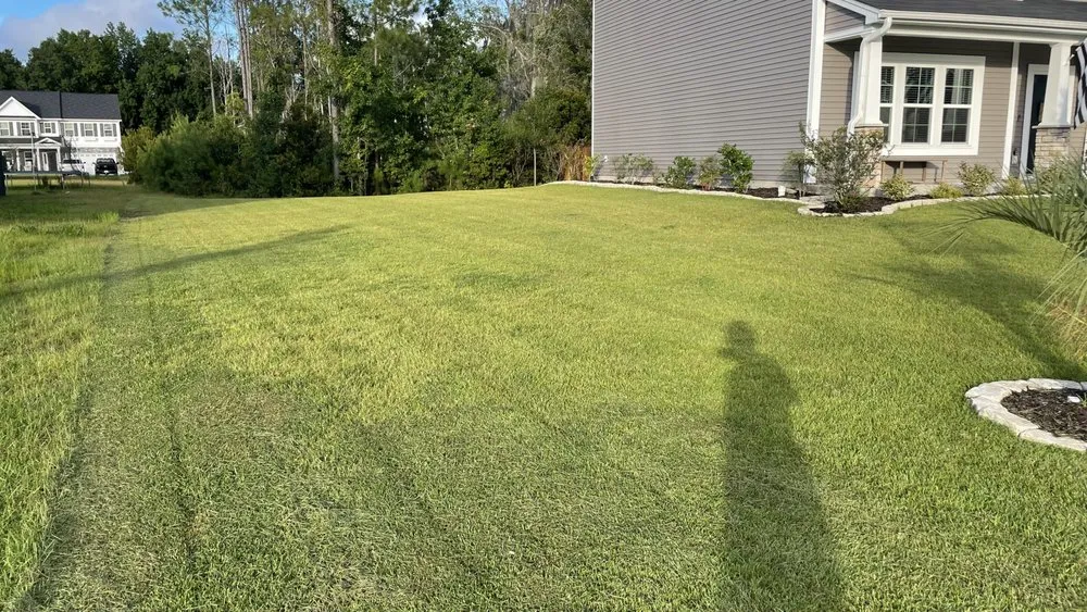 Trusted yard maintenance for beautiful yards across Richmond Hill, GA - Lush Lawns