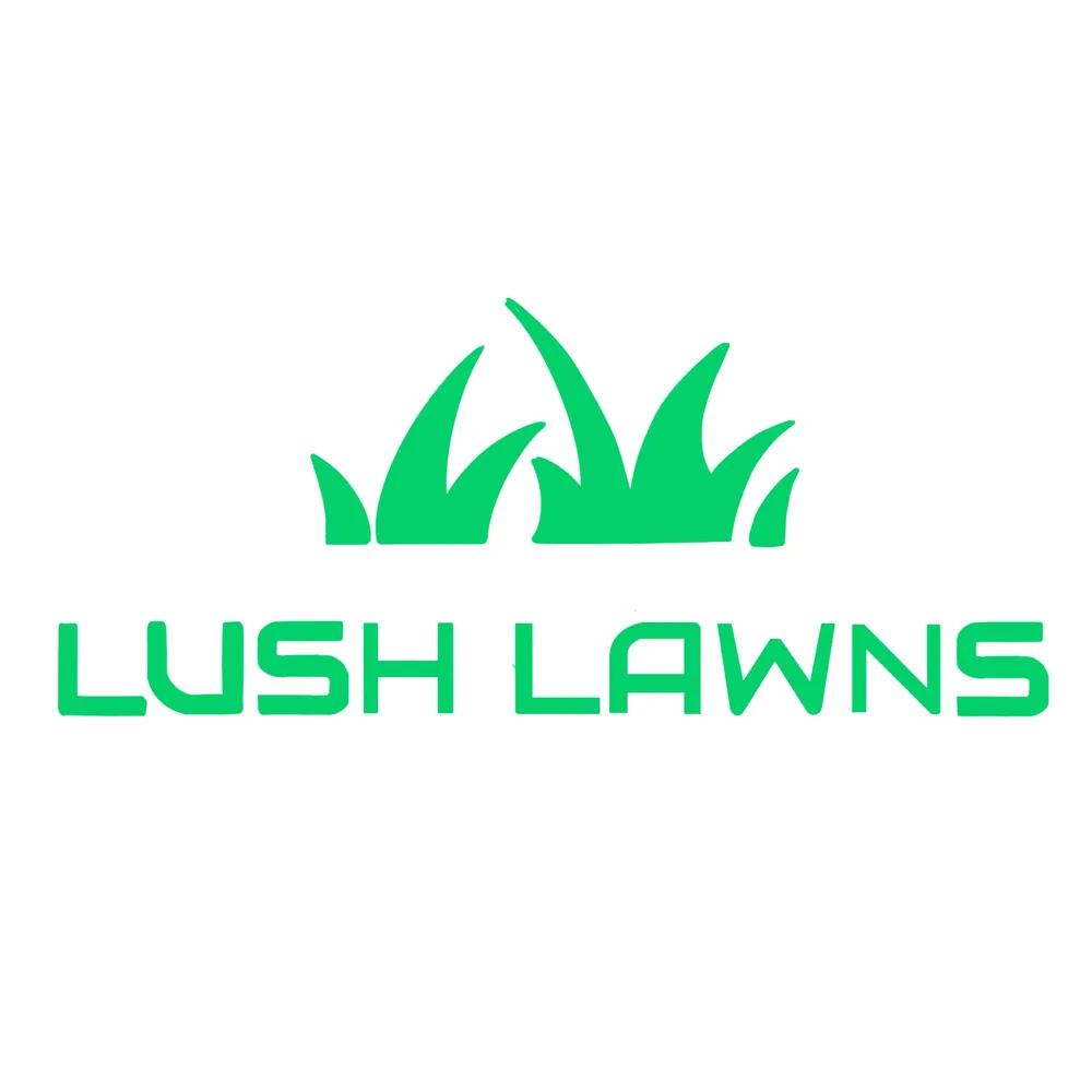 Custom yard cleanup service in Richmond Hill, GA - Lush Lawns