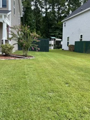Lush Lawns Logo