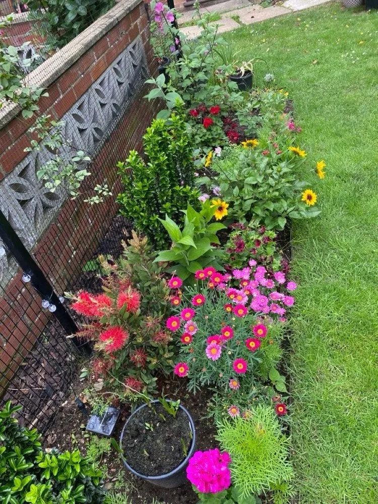 Expert yard cleanup service in Newark, NJ by Lush Level Landscaping