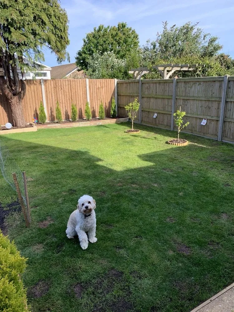 Local landscaping services in Newark, NJ - Lush Level Landscaping