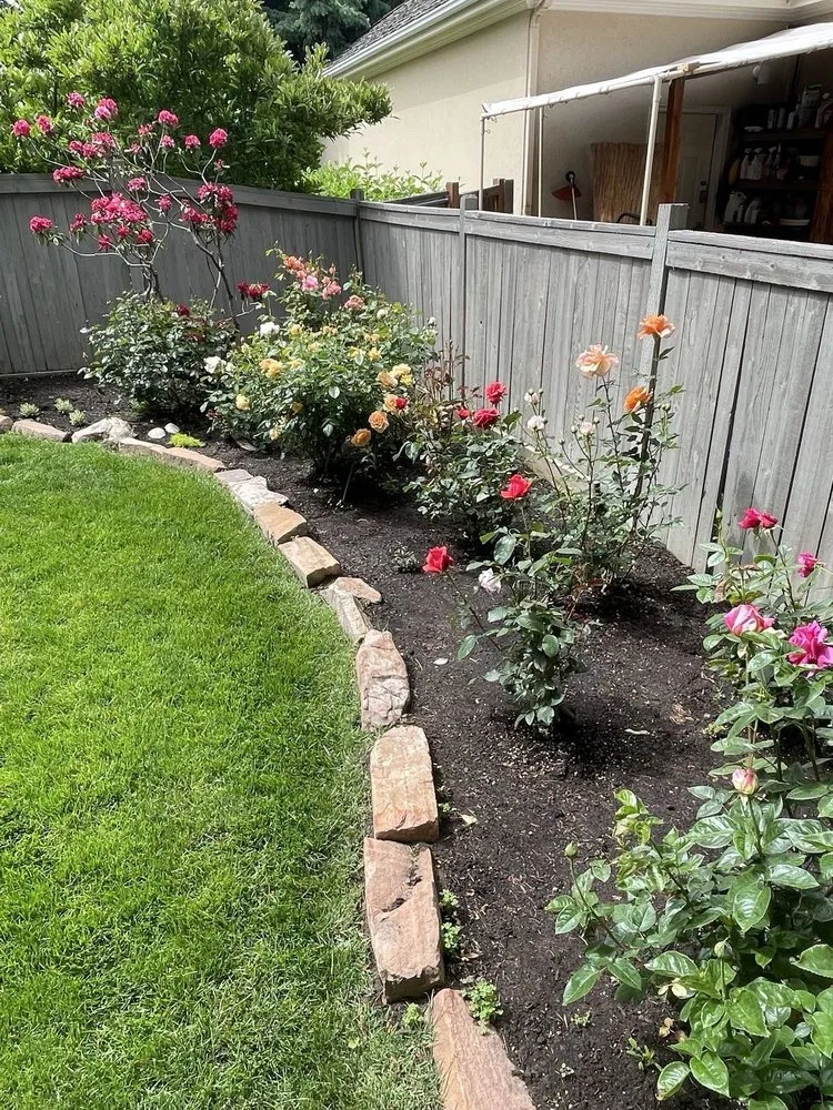 Local yard maintenance in Newark, NJ by Lush Level Landscaping