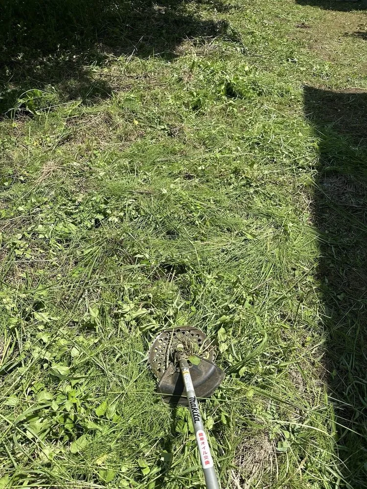 Reliable landscape installation in Newark, NJ - Lush Level Landscaping