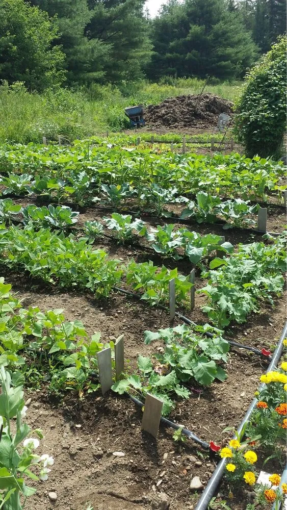 Local residential landscaping in Newark, NJ by Lush Level Landscaping