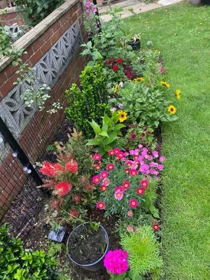 Lush Level Landscaping Logo