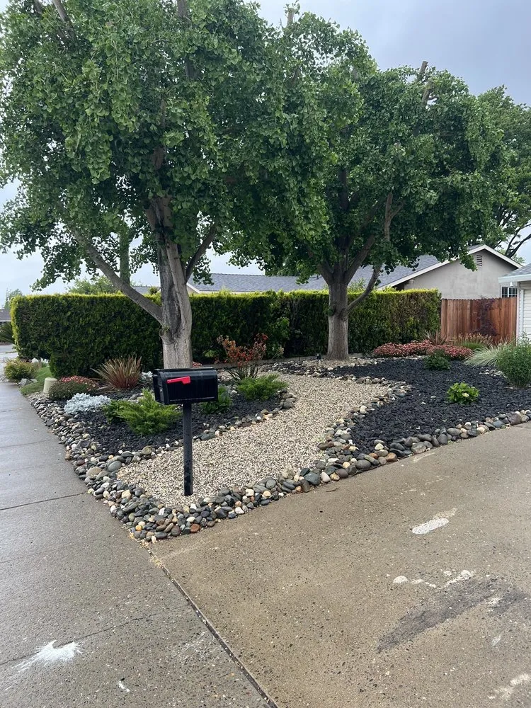 Affordable landscape installation for beautiful yards in Sacramento, CA by Lush Outdoor Home Design
