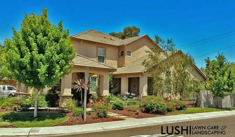 Expert lawn mowing service in Sacramento, CA - Lush Outdoor Home Design