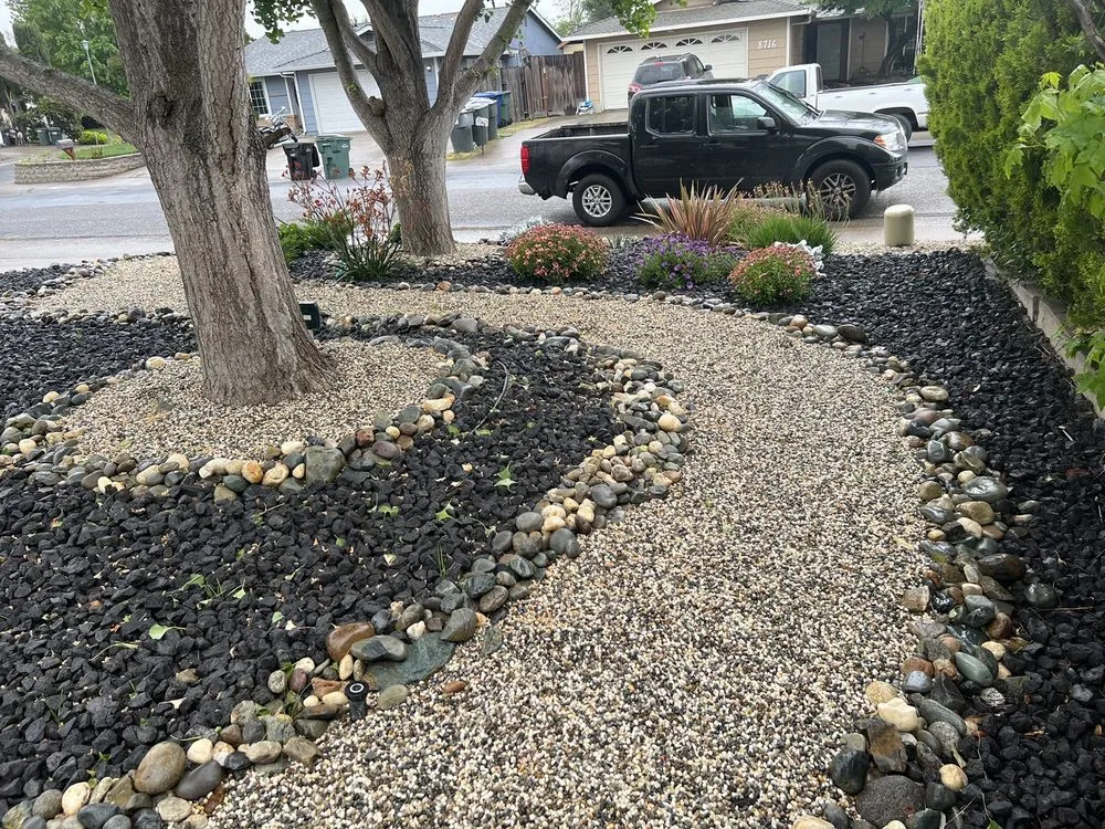 Affordable outdoor landscaping in Sacramento, CA - Lush Outdoor Home Design