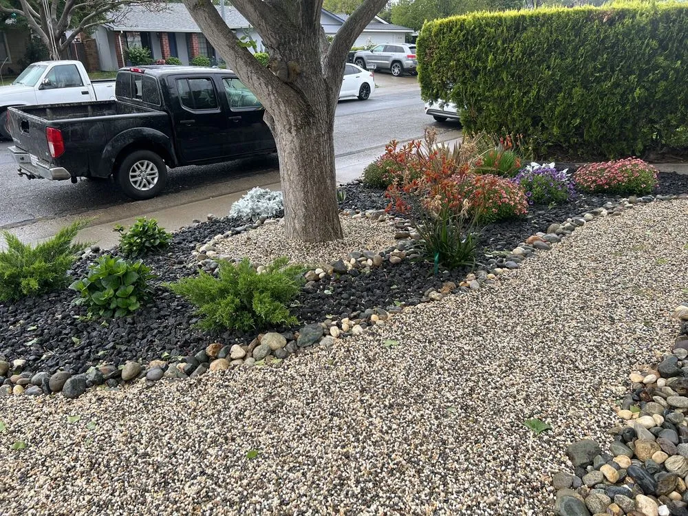 Professional lawn care service in Sacramento, CA by Lush Outdoor Home Design