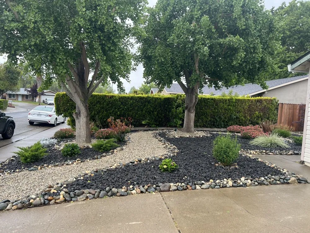 Affordable garden landscaping in Sacramento, CA by Lush Outdoor Home Design