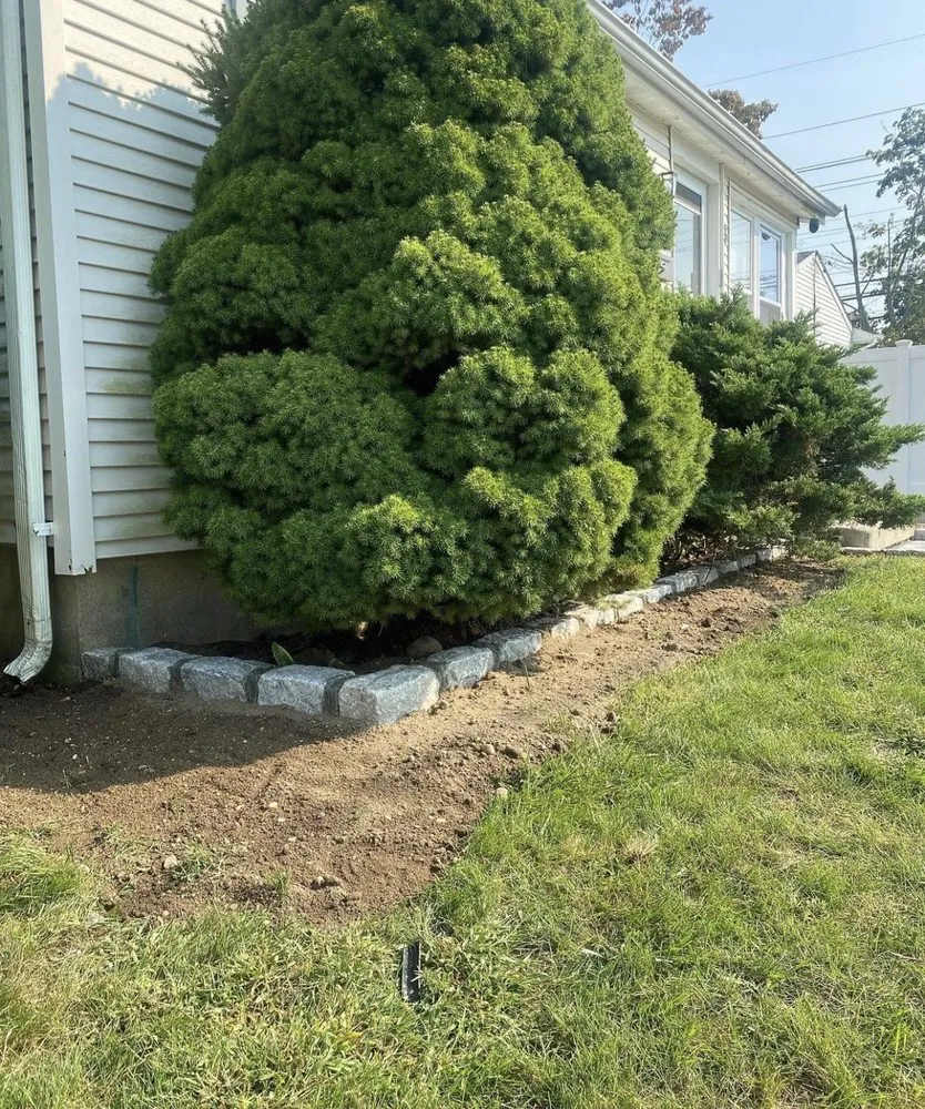 Top-rated yard cleanup service for outdoor upgrades across Sacramento, CA - Lush Outdoor Home Design