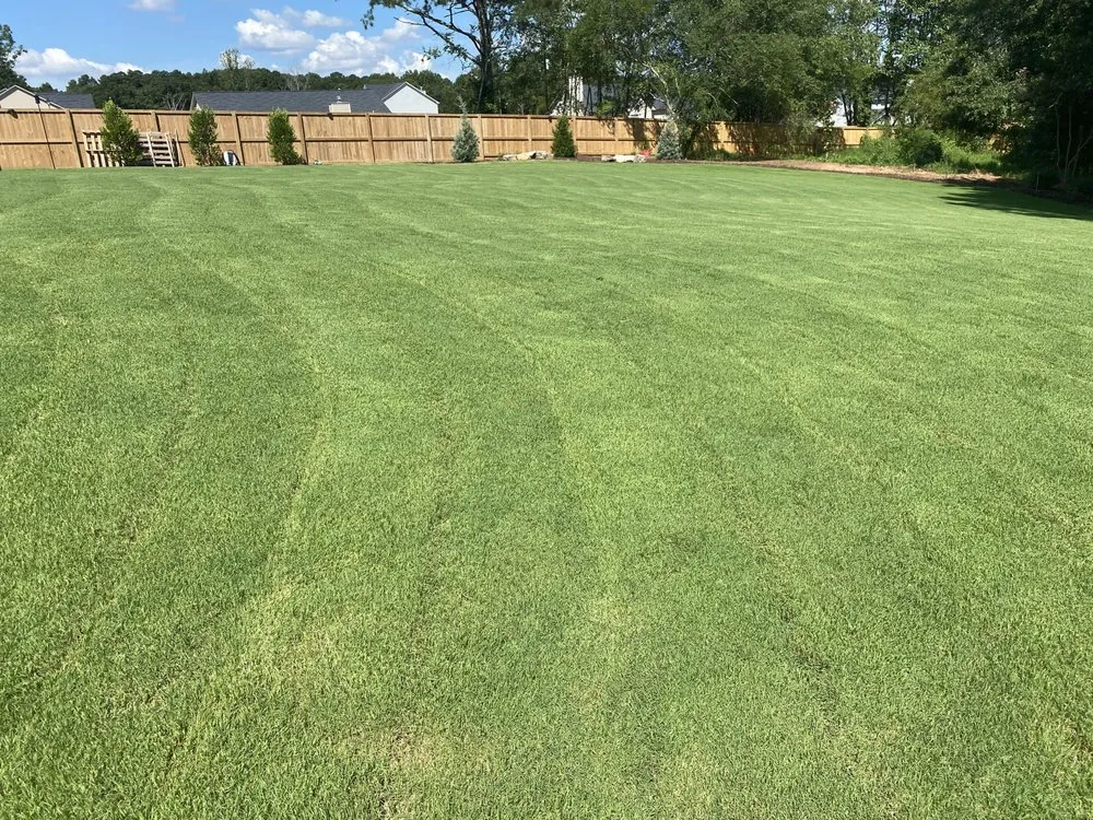 Top-rated yard cleanup service experts serving Auburn, GA - Lush Outdoor Landscape