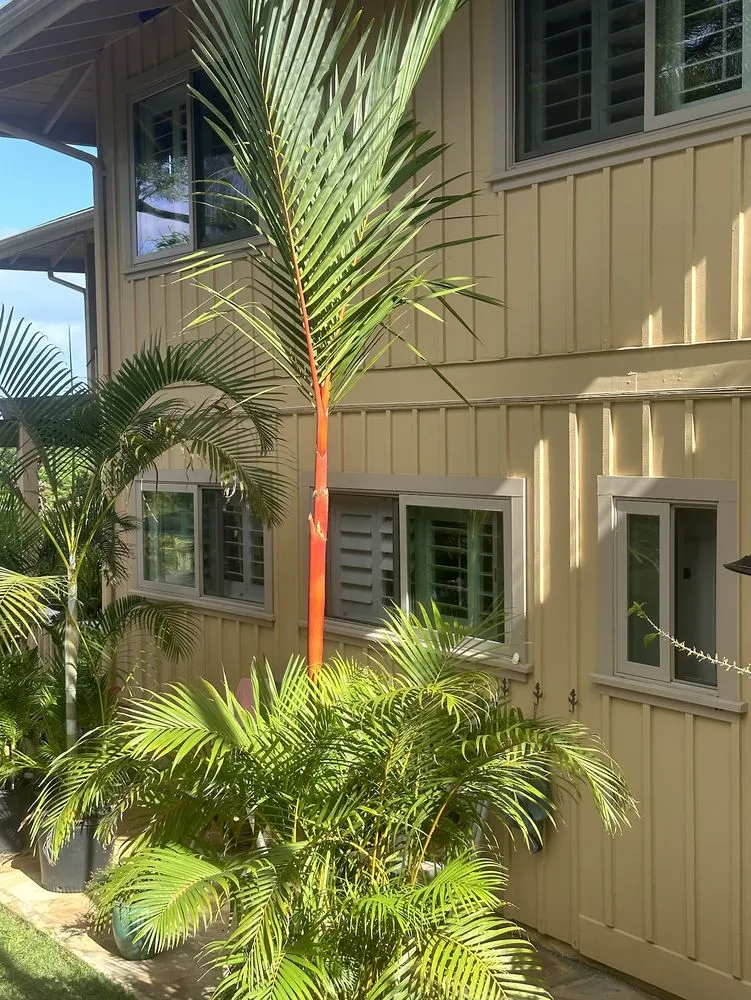 Expert residential landscaping for residential properties across Haleiwa, HI - Lush Palm Landscapes