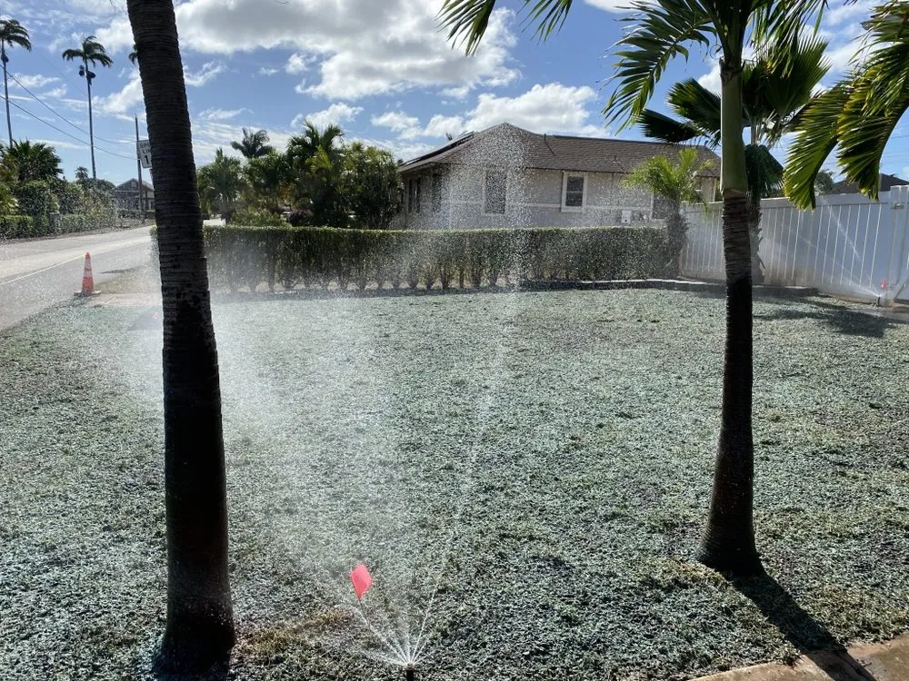 Local lawn care service in Haleiwa, HI - Lush Palm Landscapes