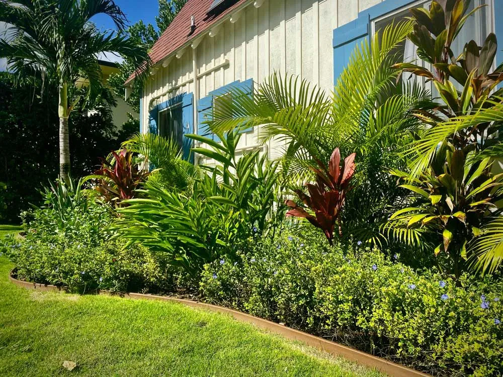 Reliable residential landscaping in Haleiwa, HI - Lush Palm Landscapes