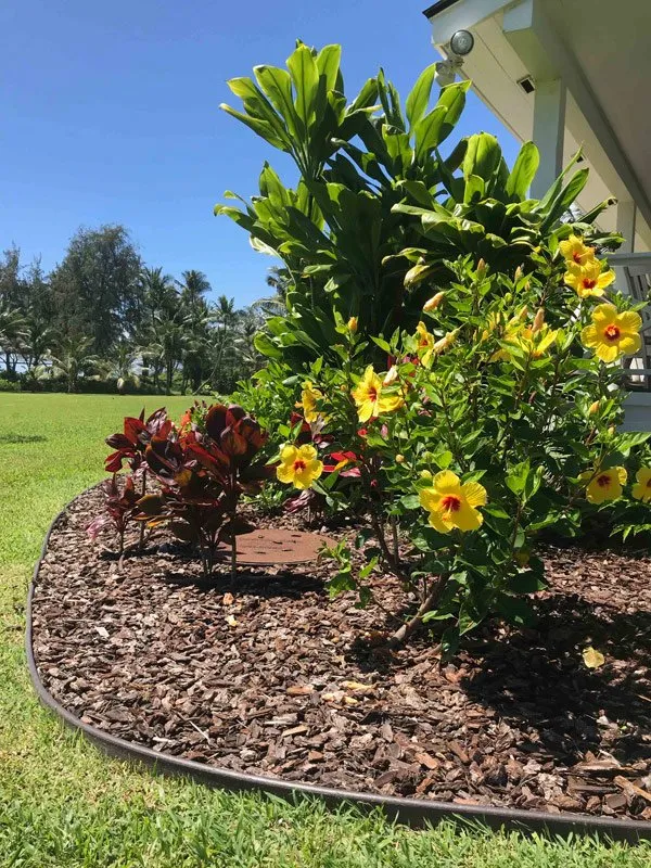 Local landscape installation in Haleiwa, HI by Lush Palm Landscapes