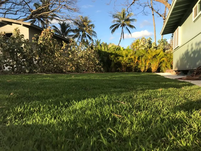 Trusted garden landscaping with custom design in Haleiwa, HI by Lush Palm Landscapes
