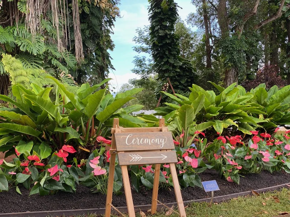 Reliable yard maintenance for residential properties in Haleiwa, HI by Lush Palm Landscapes