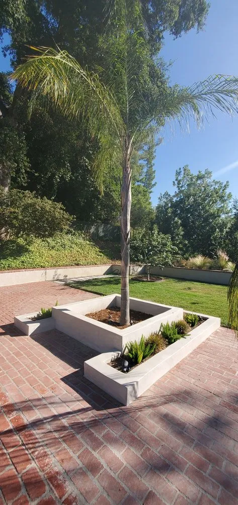 Expert yard cleanup service experts serving Los Angeles, CA - Lush Remodeling