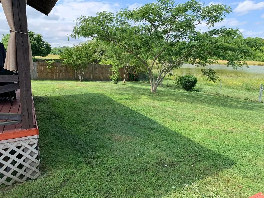 Affordable landscaping services experts serving Guntersville, AL - Lush View Landscaping