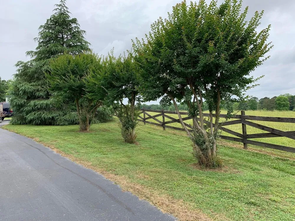 Expert yard maintenance for residential properties across Guntersville, AL - Lush View Landscaping