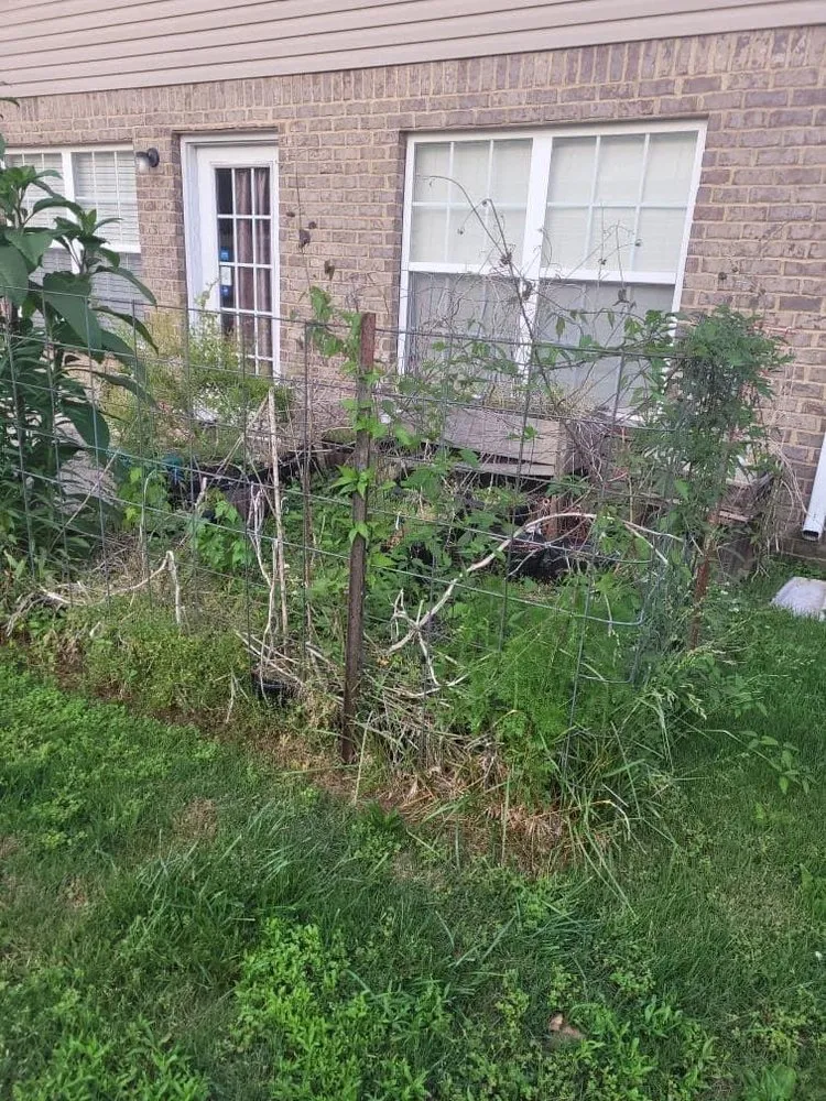 Expert outdoor landscaping in Guntersville, AL - Lush View Landscaping