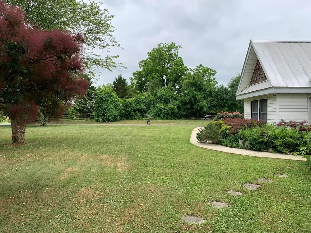 Top-rated yard maintenance in Guntersville, AL by Lush View Landscaping