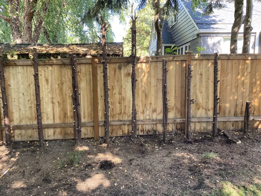 Local garden landscaping in Federal Way, WA by Lush Vista Landscape Architecture