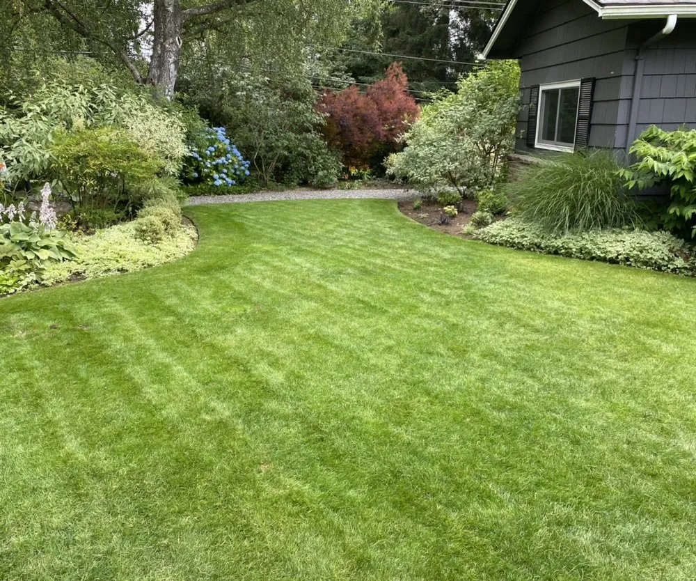 Custom residential landscaping in Federal Way, WA - Lush Vista Landscape Architecture