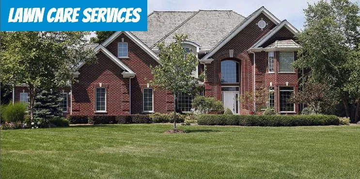 Professional lawn care service in Copperopolis, CA by Lushe Oak Lawncare