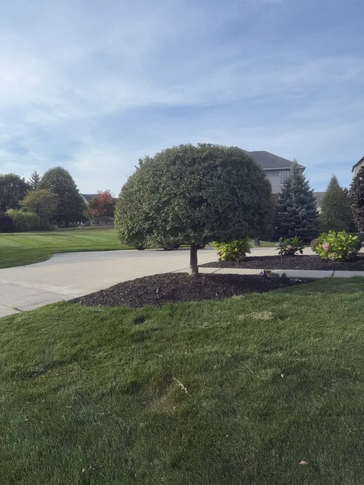 Top-rated garden landscaping in Shelby Township, MI by Lush’s Landscaping